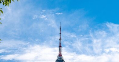 종로 법무법인, 현장에서 답을 찾는 위솔브의 선택