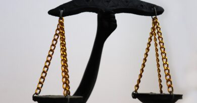 보험 소송 변호사, 보험금 못 받을 때 이렇게 대응합니다.