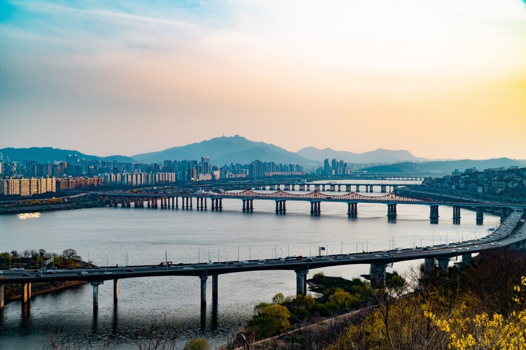 전세사기 상담